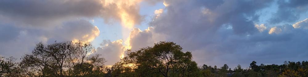a view of some clouds over a skyline of trees at sunset